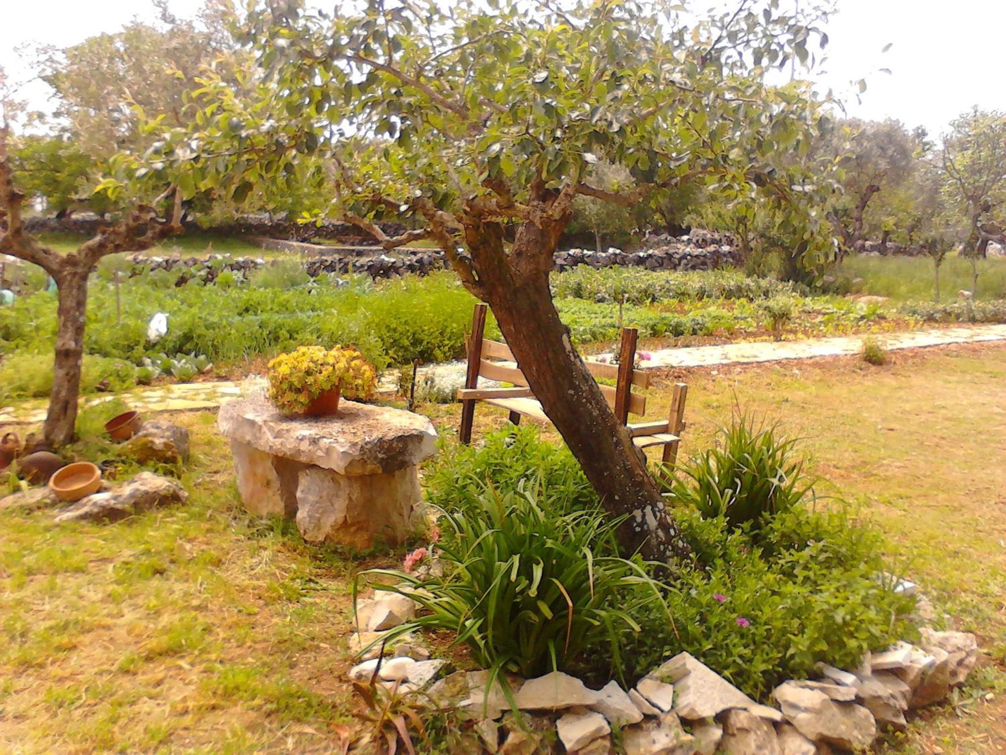 Retiro Da Avo Lidia - Turismo Rural Mendiga Exterior photo