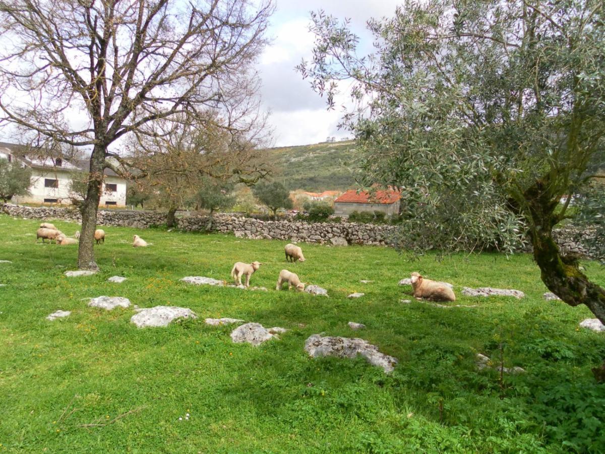 Retiro Da Avo Lidia - Turismo Rural Mendiga Exterior photo